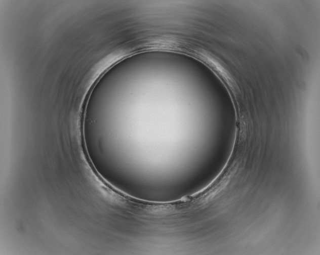 X0000112541434200908171433