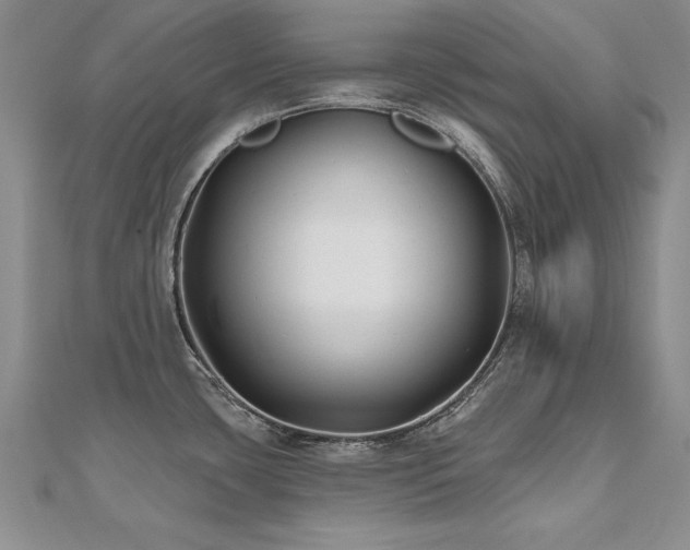 X0000112541435200908171433