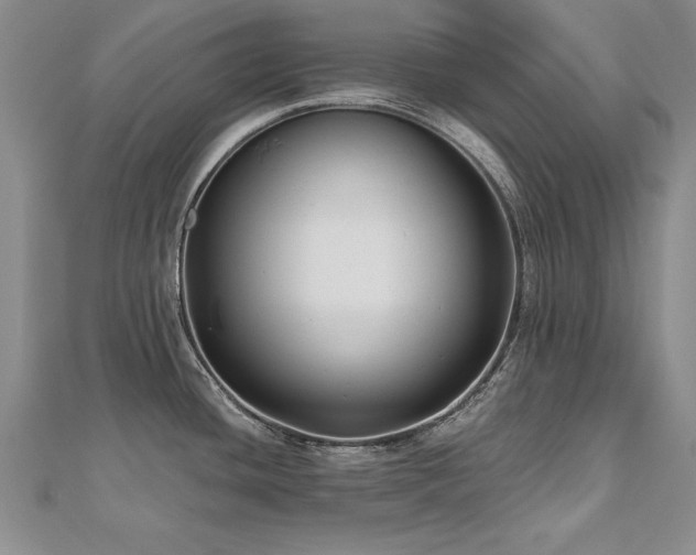 X0000112541436200908171433