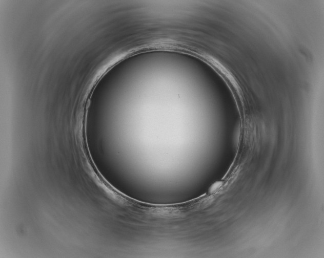 X0000112541437200908171433
