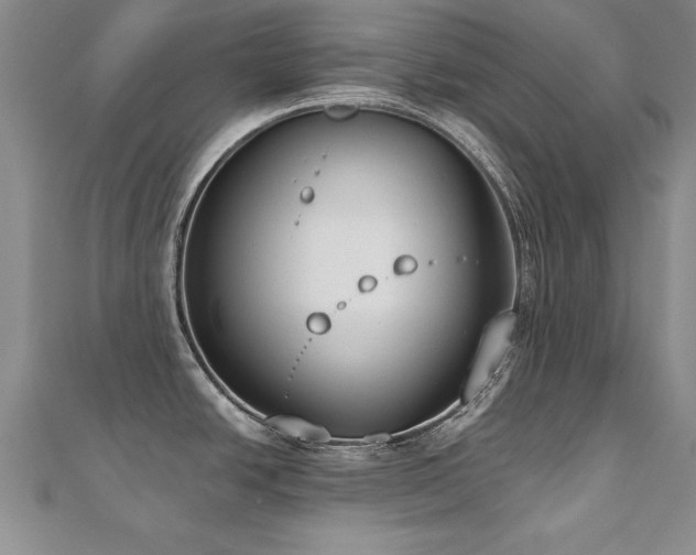 X0000112541438200908171433