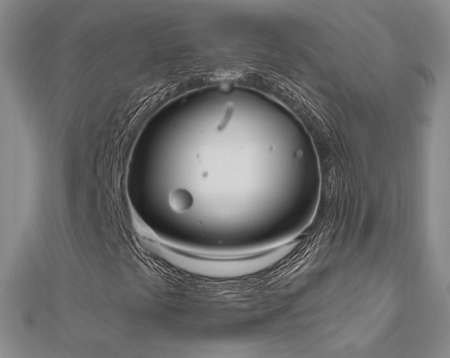 X0000112541441200908171432