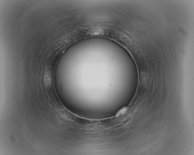 X0000112541442200908171432