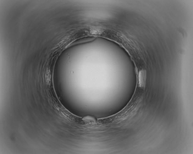 X0000112541443200908171432