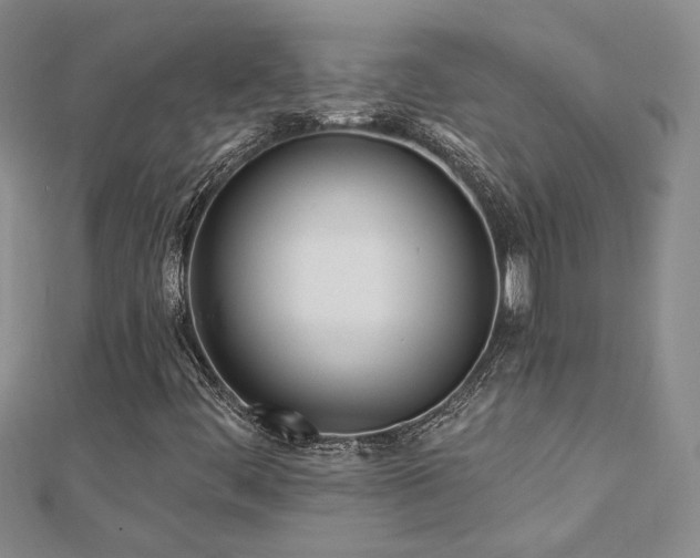 X0000112541444200908171432