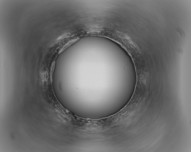 X0000112541445200908171432