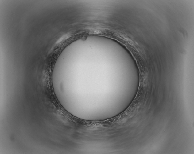 X0000112541446200908171432