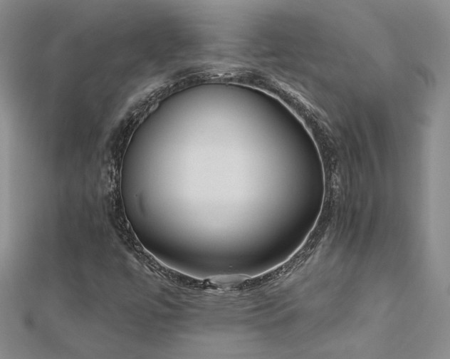 X0000112541447200908171432