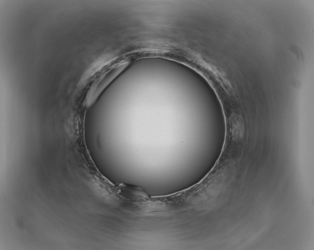 X0000112541448200908171432