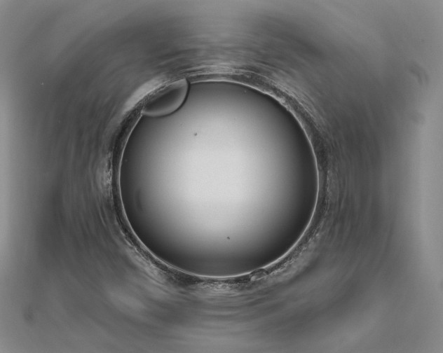 X0000112541450200908171432