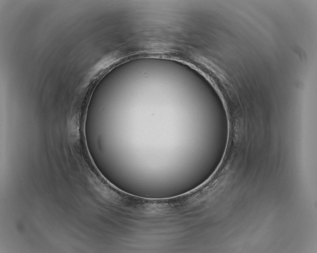 X0000112541451200908171432