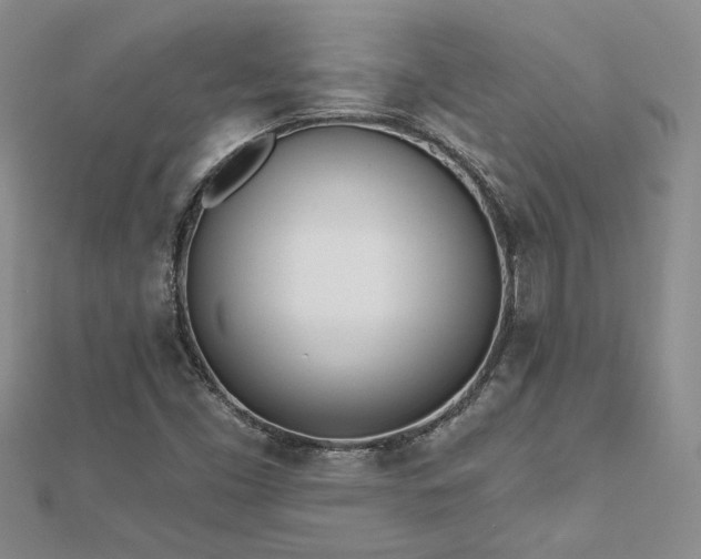 X0000112541453200908171432