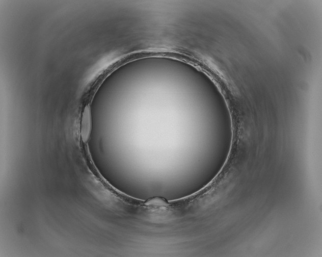 X0000112541456200908171432