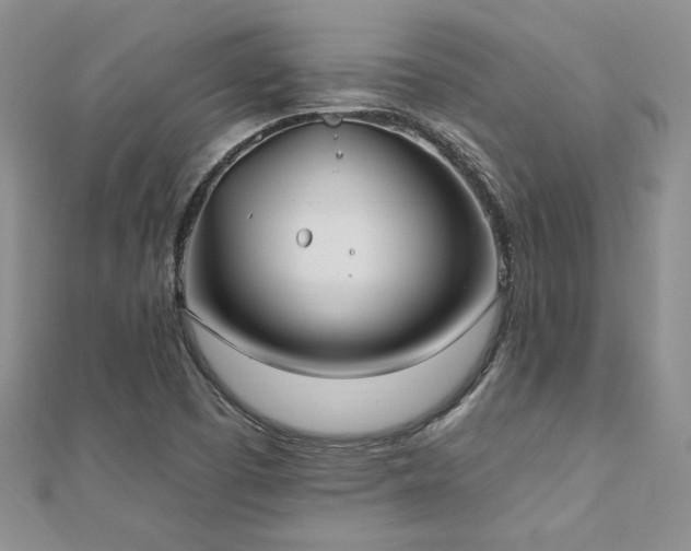 X0000112541457200908171432