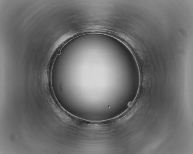 X0000112541458200908171432