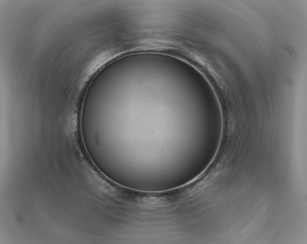 X0000112541459200908171432