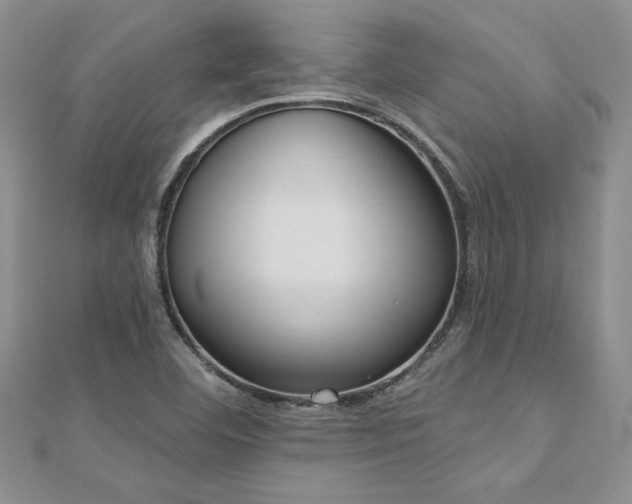 X0000112541460200908171432