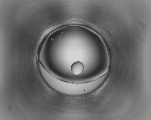 X0000112541461200908171432