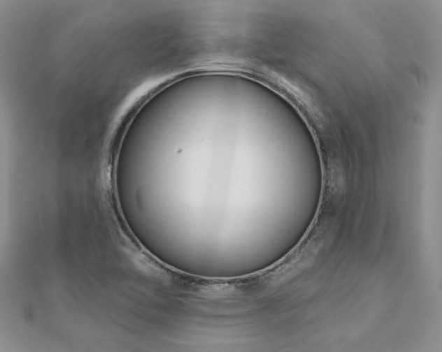 X0000112541462200908171432