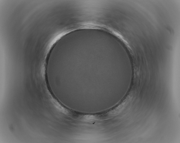 X0000112541463200908171432