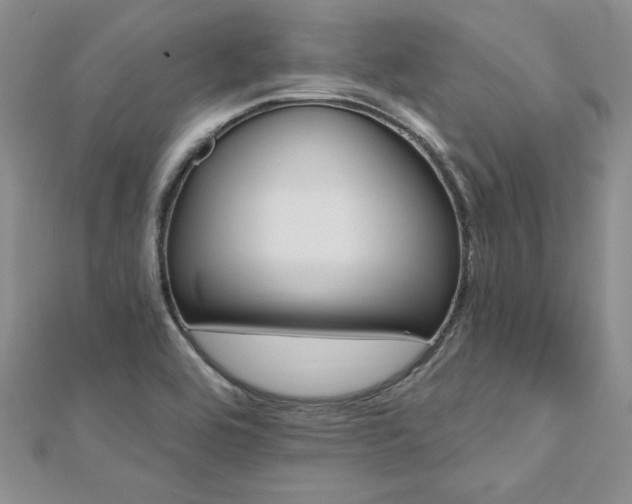 X0000112541464200908171432