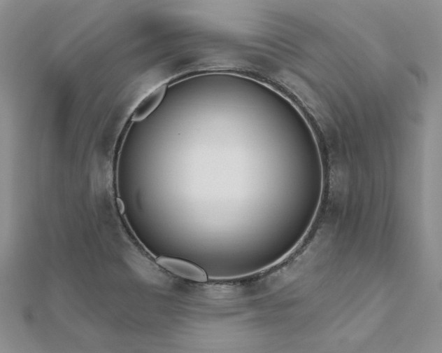 X0000112541465200908171432