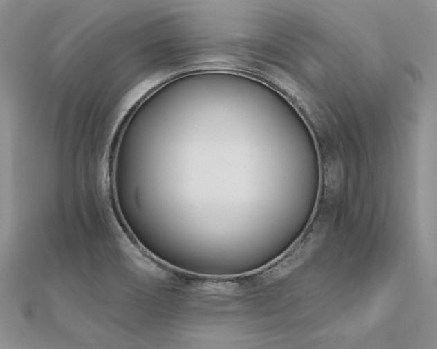 X0000112541466200908171432