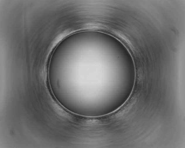 X0000112541467200908171432