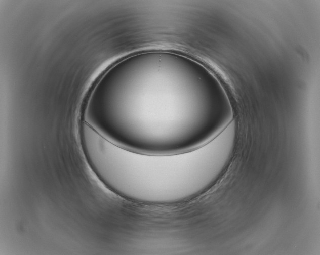 X0000112541468200908171432
