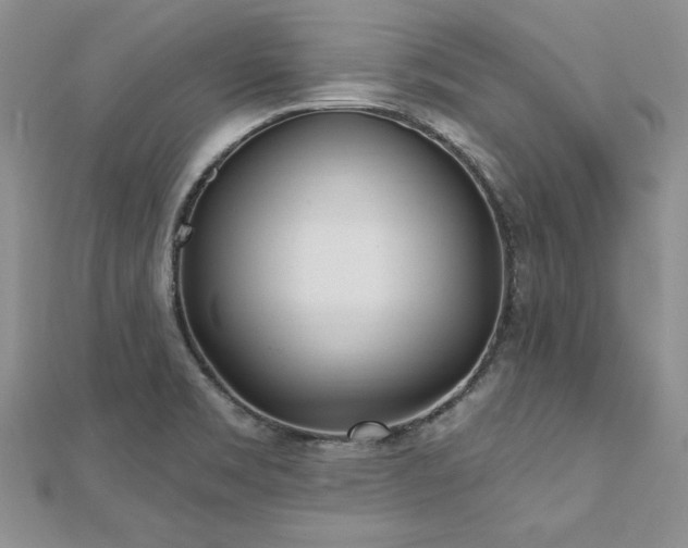 X0000112541469200908171432