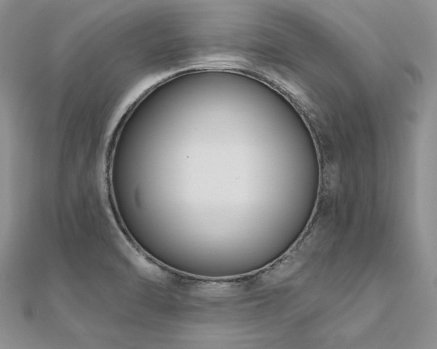 X0000112541470200908171432