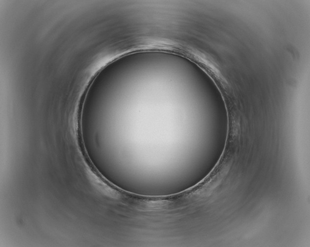 X0000112541471200908171432