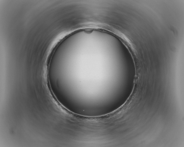 X0000112541472200908171432