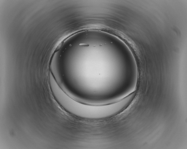 X0000112541473200908171432