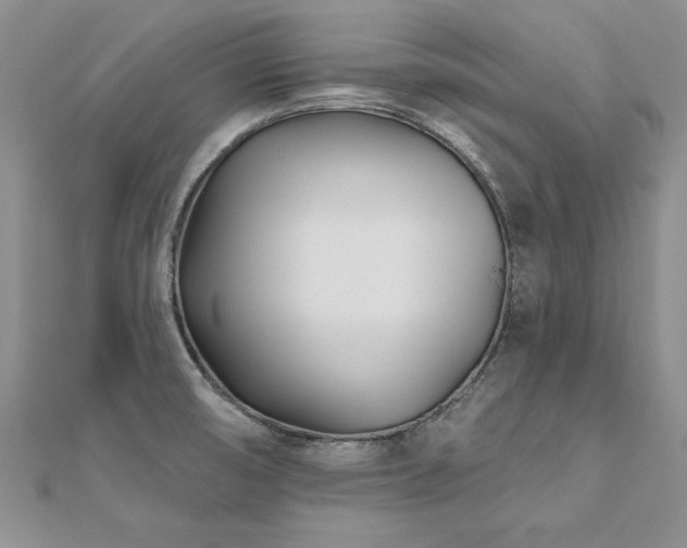 X0000112541474200908171432