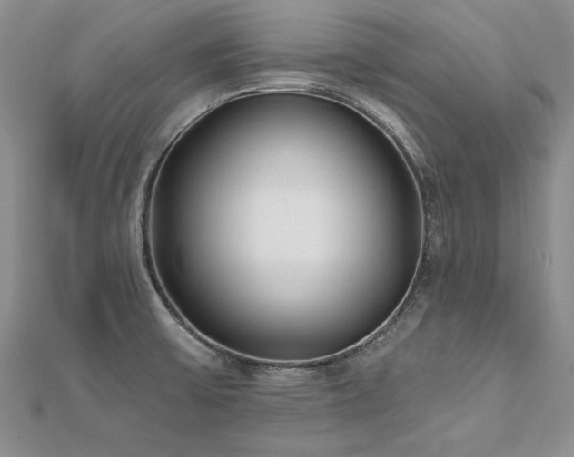 X0000112541475200908171432