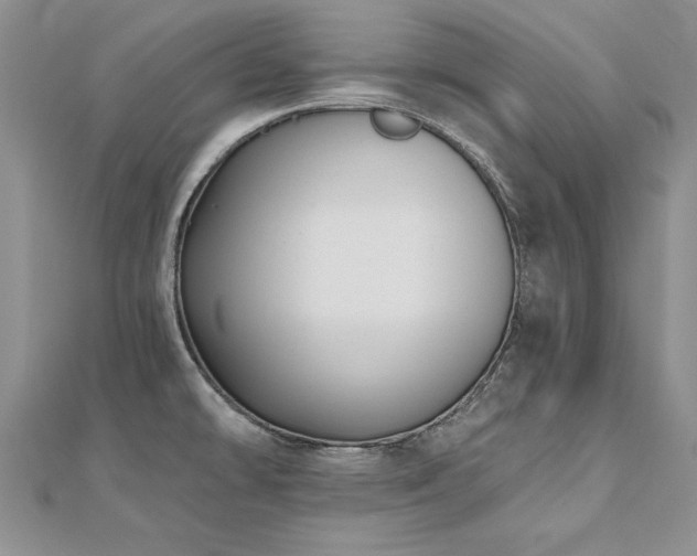 X0000112541478200908171432