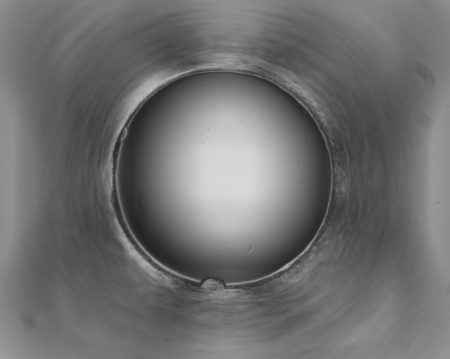 X0000112541479200908171432