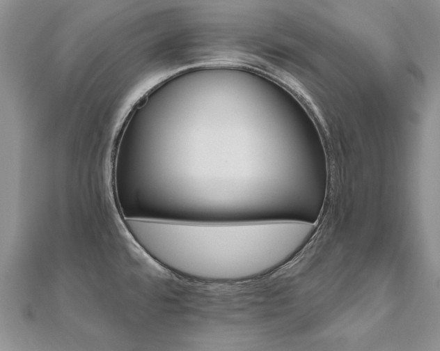 X0000112541480200908171432