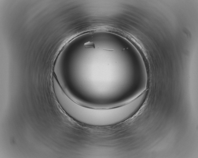 X0000112541481200908171432