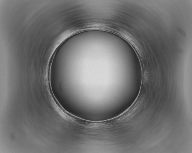 X0000112541482200908171432