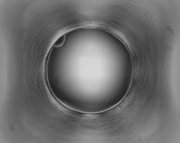 X0000112541483200908171432