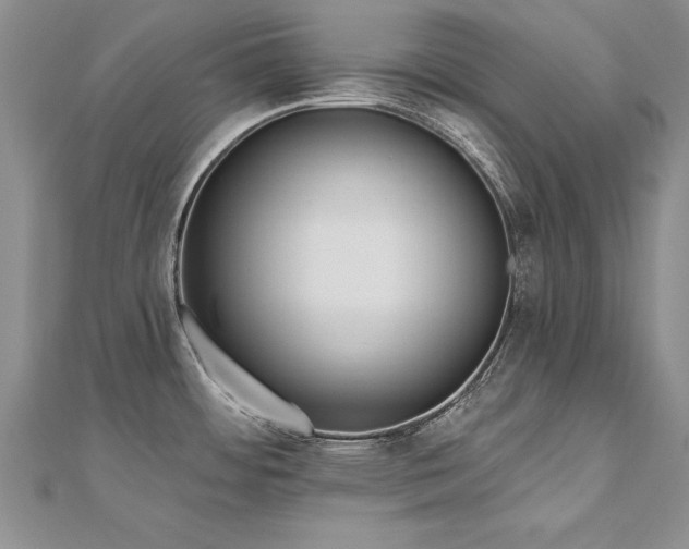 X0000112541484200908171432