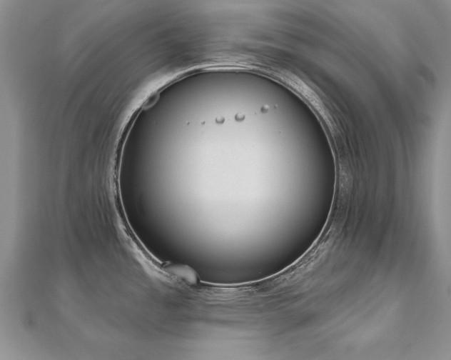 X0000112541485200908171432