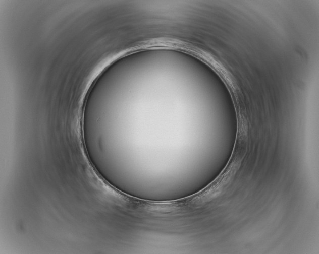 X0000112541486200908171432