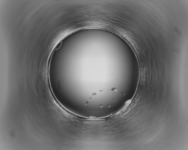 X0000112541487200908171432