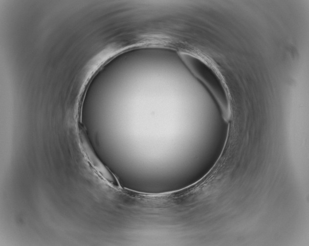 X0000112541488200908171432
