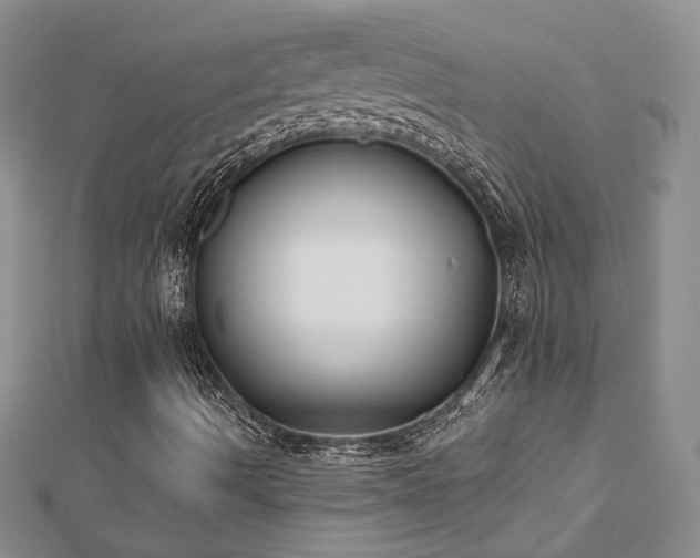 X0000112541490200908171431