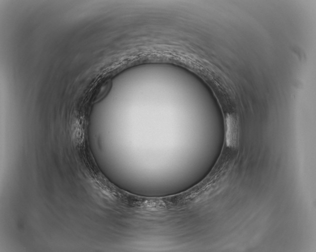 X0000112541491200908171431