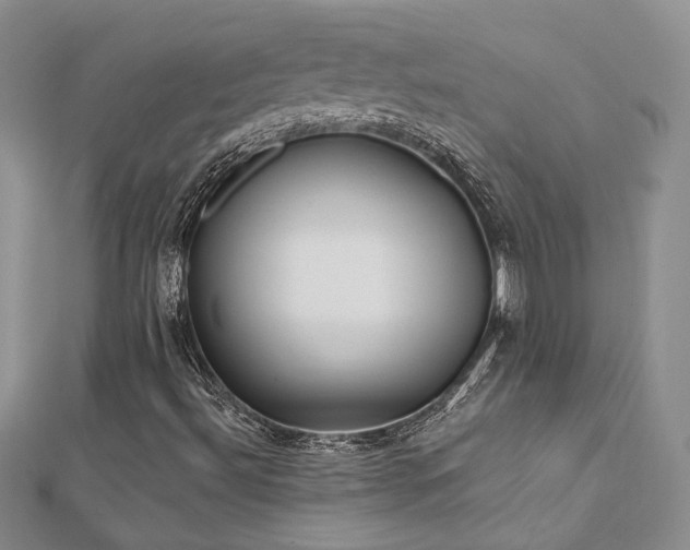 X0000112541492200908171431